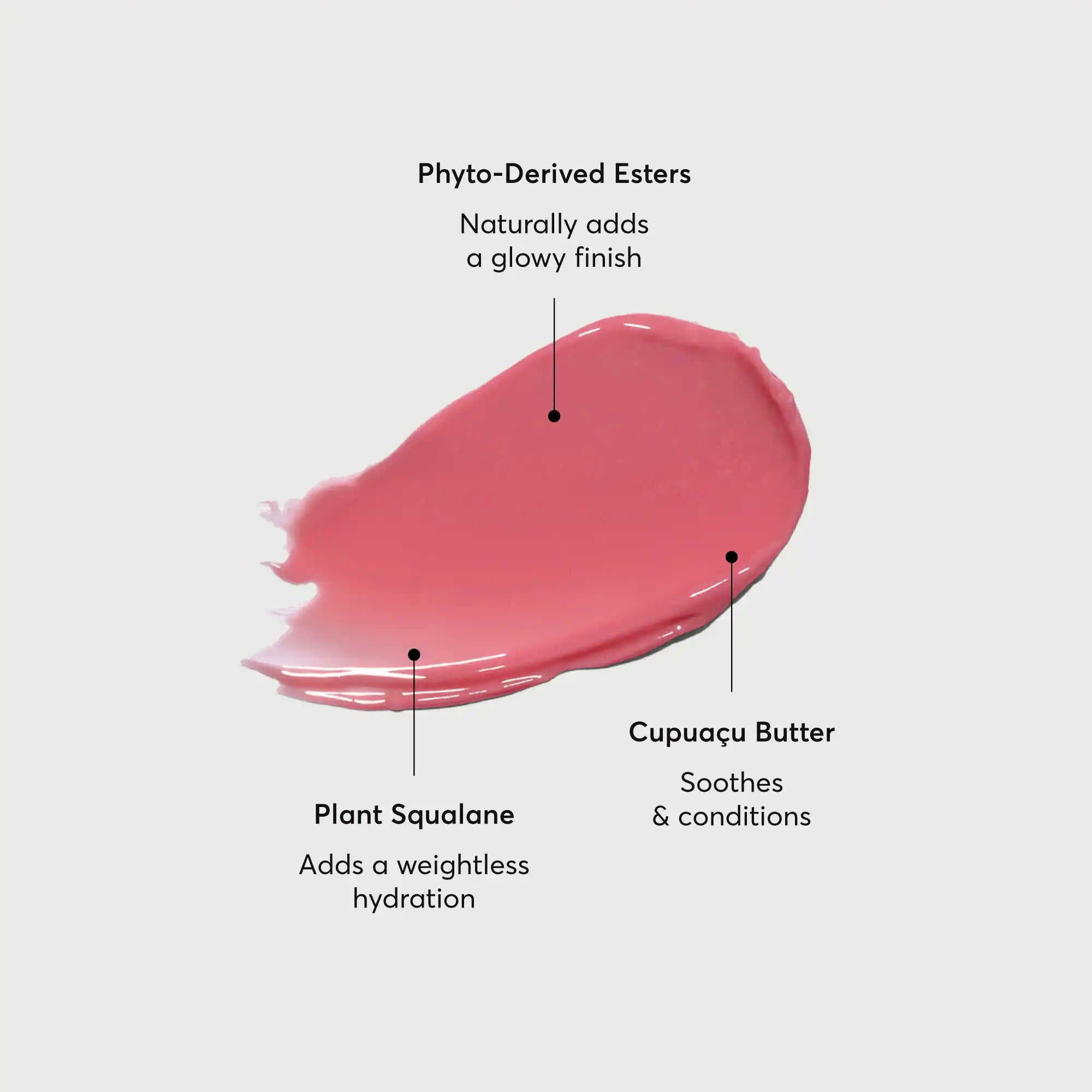 Phyto-Glow Lip Balm Petal