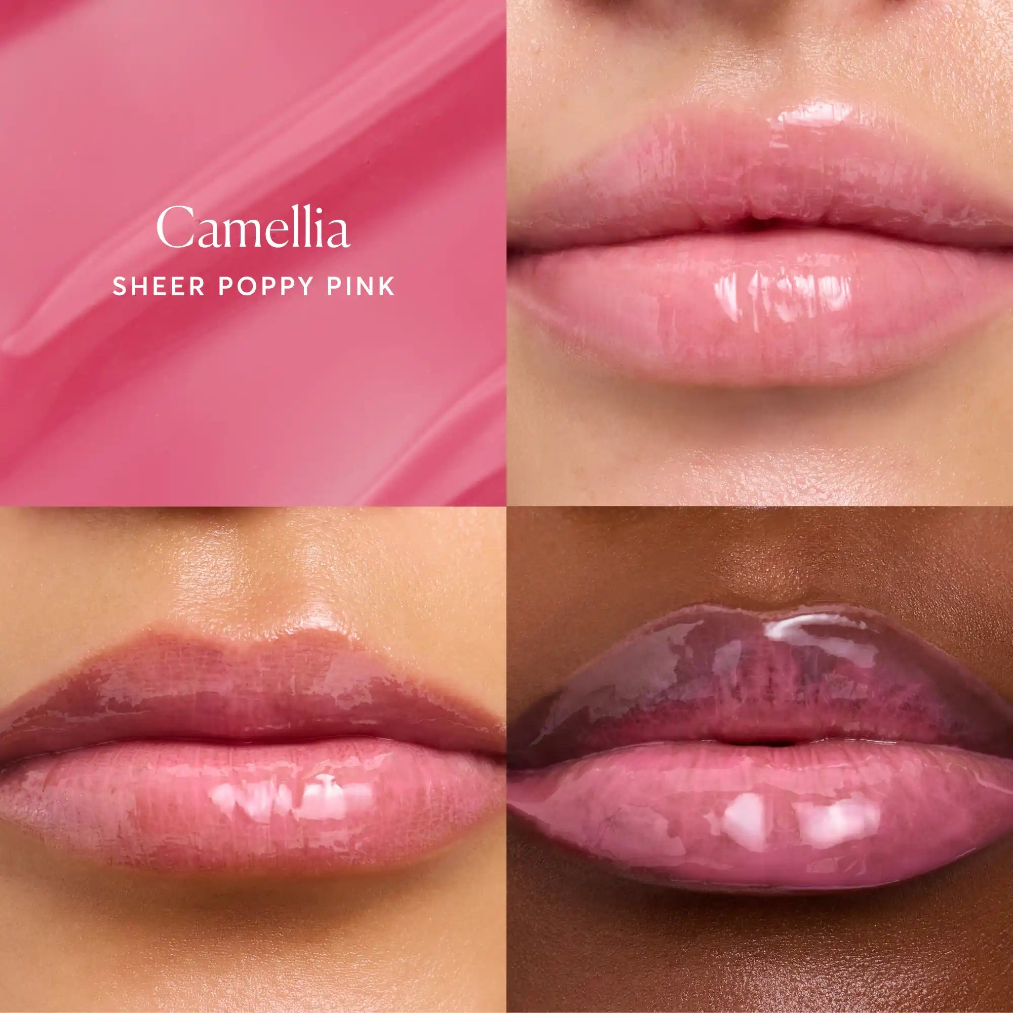 Phyto-Glow Lip Balm Camellia