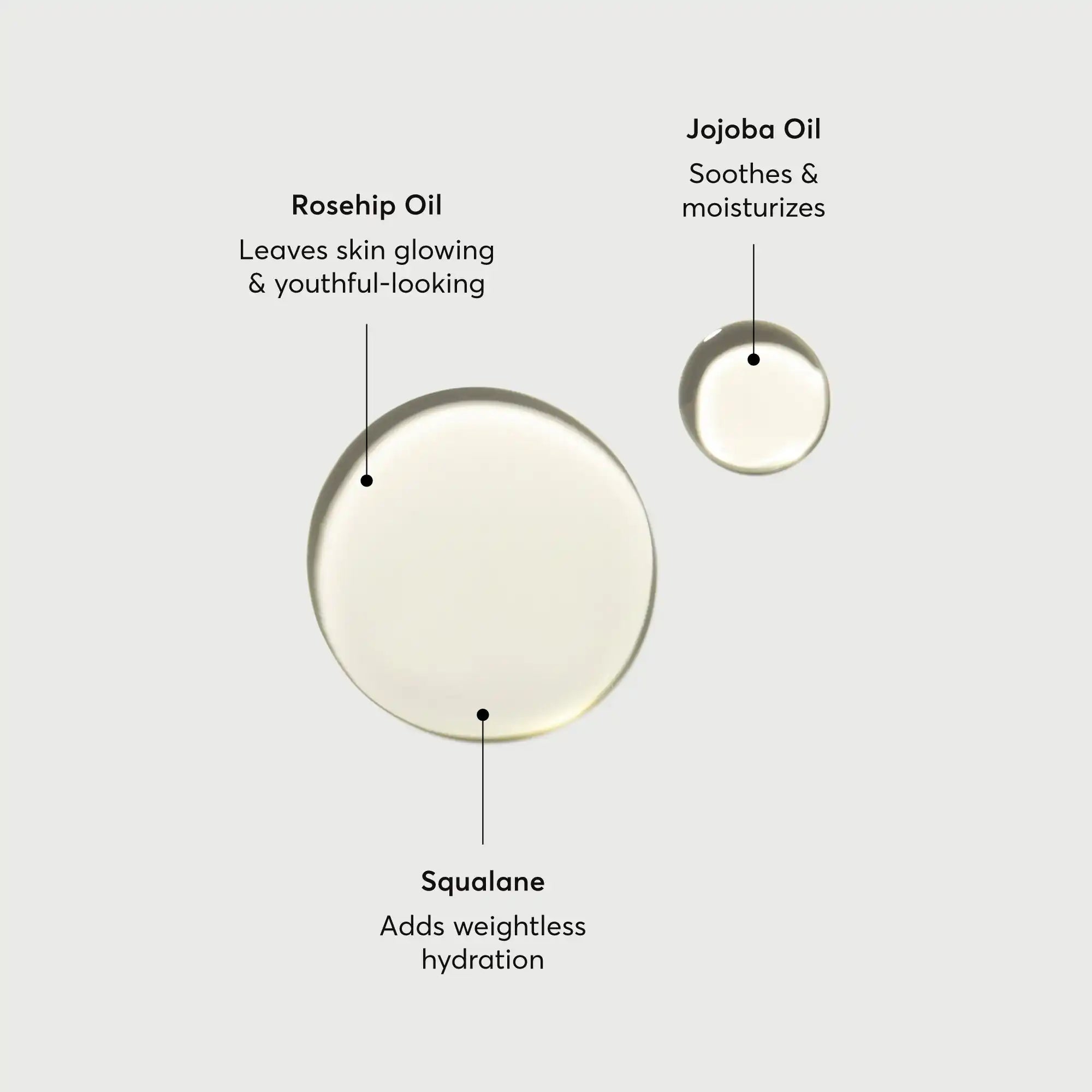 The Glow Getter Body Oil